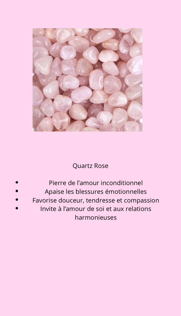 Bougie Parfumée Soft Élixir